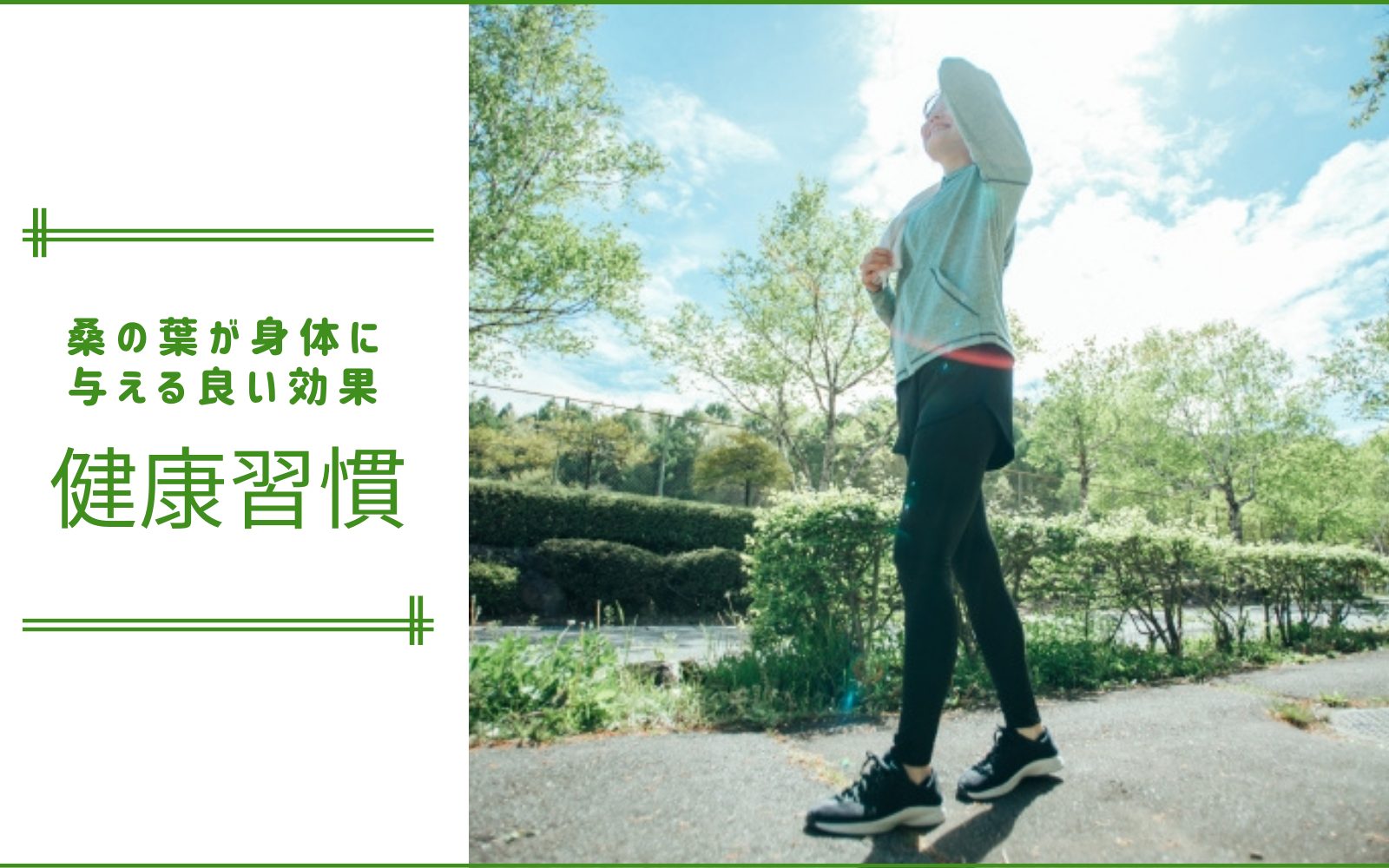 桑の葉茶を飲んで健康に 高血圧 低血圧への副作用は 桑の葉茶を飲んで健康に 高血圧 低血圧への副作用は