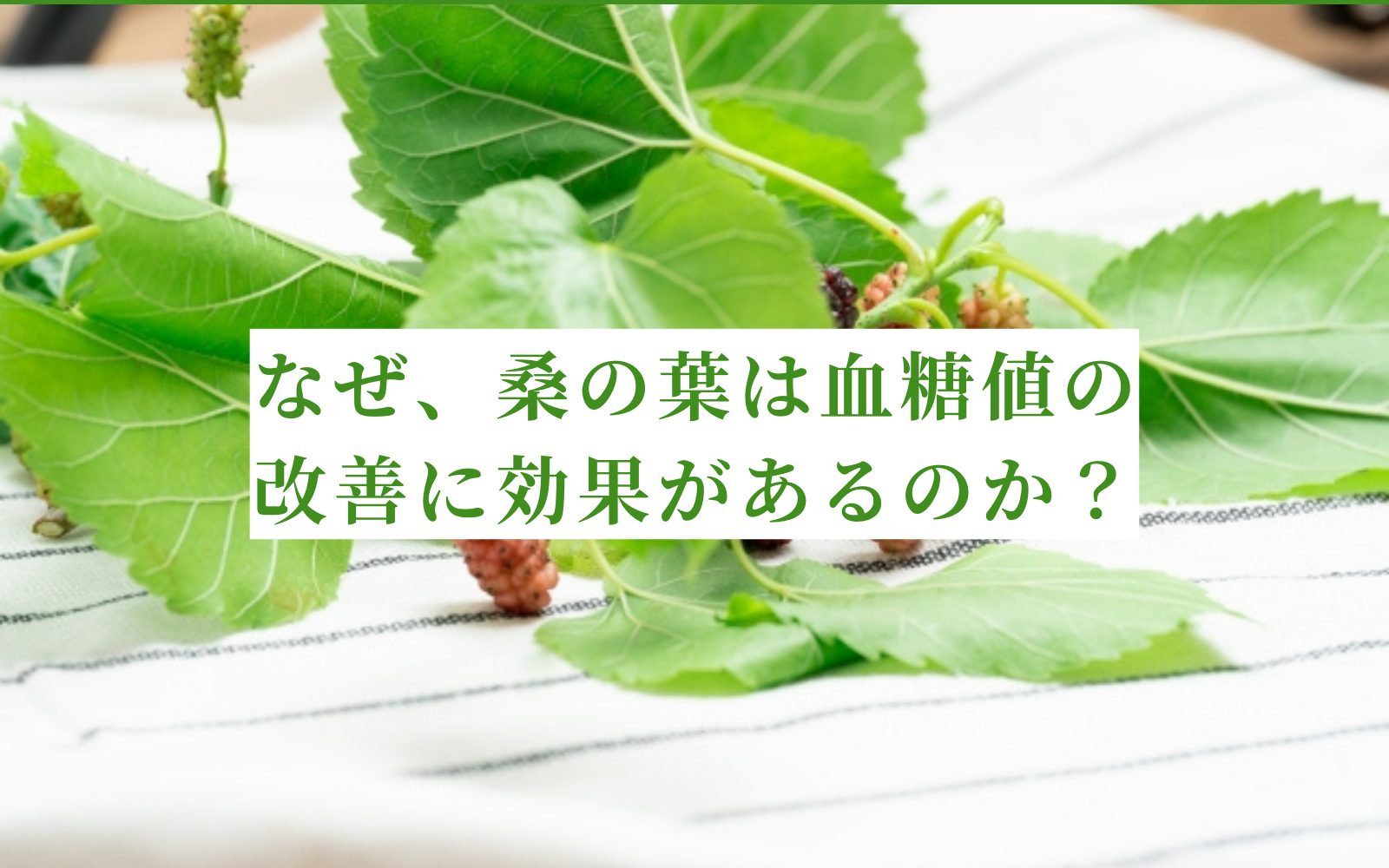 血糖値の抑制にいい桑の葉なら青汁「創輝王」