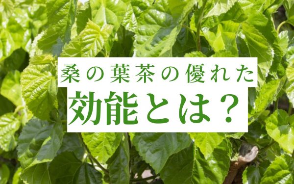 桑茶を飲むと悪酔いや二日酔いが軽減される？実験レポート公開！