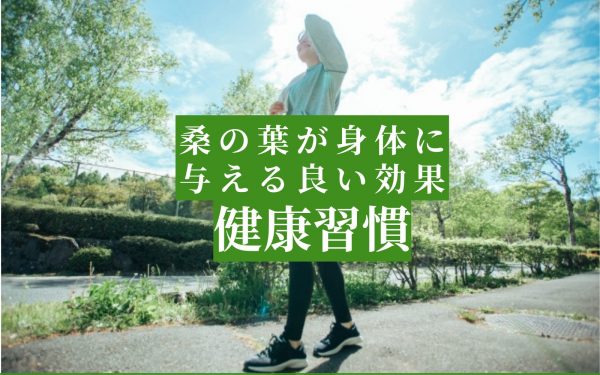 桑の葉茶を飲んで健康に！高血圧＆低血圧への副作用は？