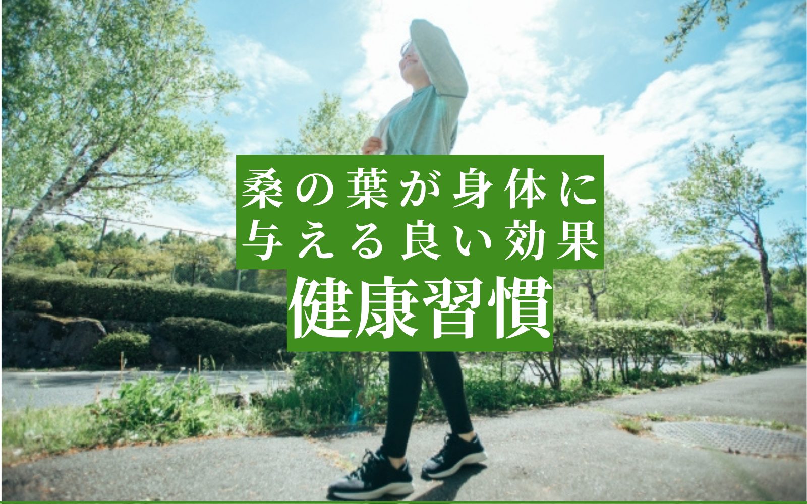 桑の葉茶を飲んで健康に！高血圧＆低血圧への副作用は？