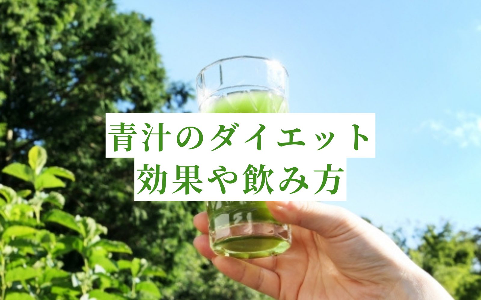 青汁をダイエットメニューや朝ごはんの代わりに「創輝王」