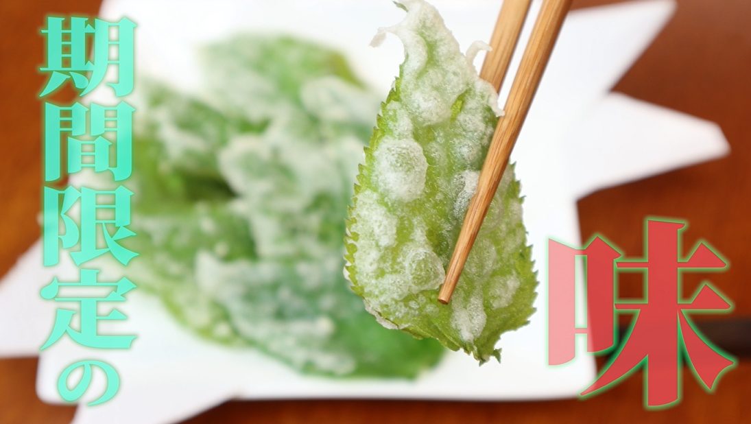 期間限定の旬の味である桑の新芽の天ぷら
