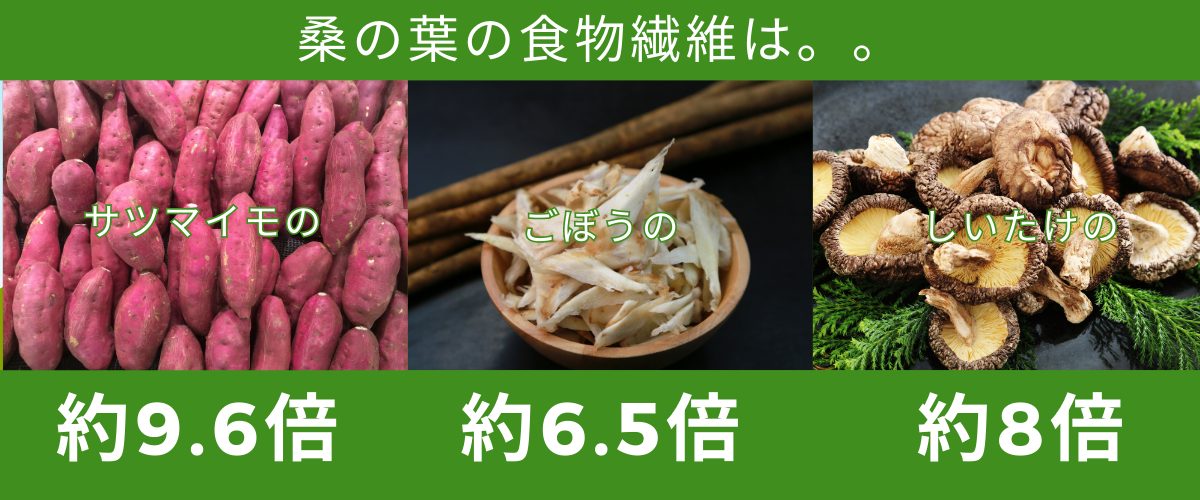 桑の葉の食物繊維含有量はさつまいもの約9.6倍