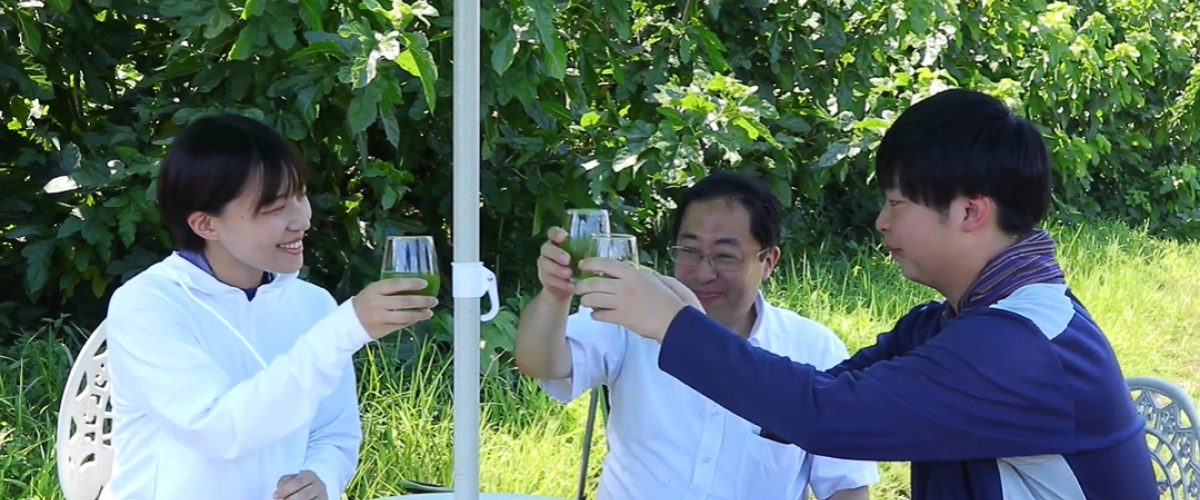 桑の青汁創輝王で乾杯している久米川先生とインターン生の二人