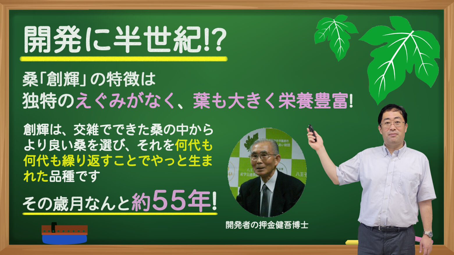 桑「創輝」は開発に半世紀をかけて誕生