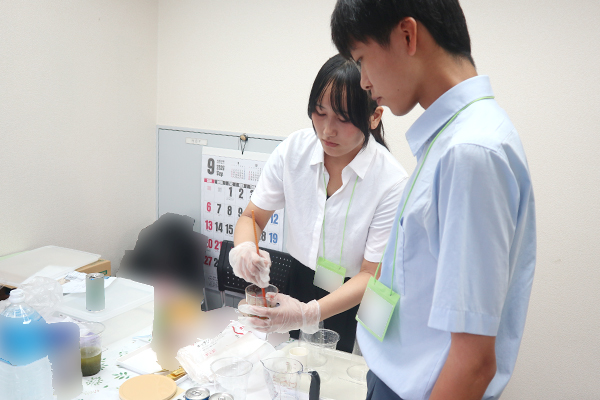 桑ドリンクの試作を行う様子